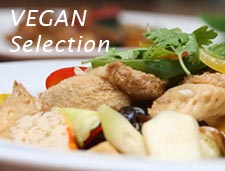 VEGAN SELECTION